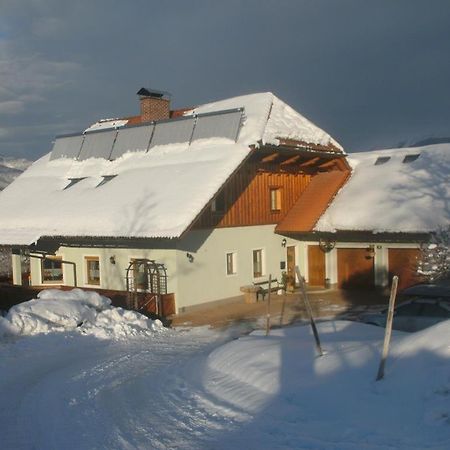 Haus Schober Leilighet Windischgarsten Eksteriør bilde